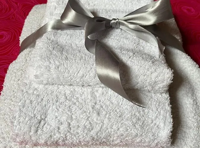 Апартаменты Loft Albinelli Wi-fi E Parcheggio Gratis In Centro *